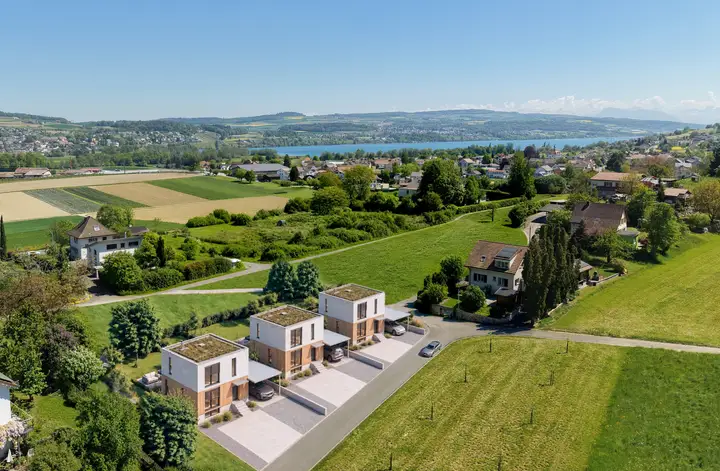 Luftbild der drei Wohnhäuser zwischen Wiesen, dahinter Wädenswil und der Zürichsee