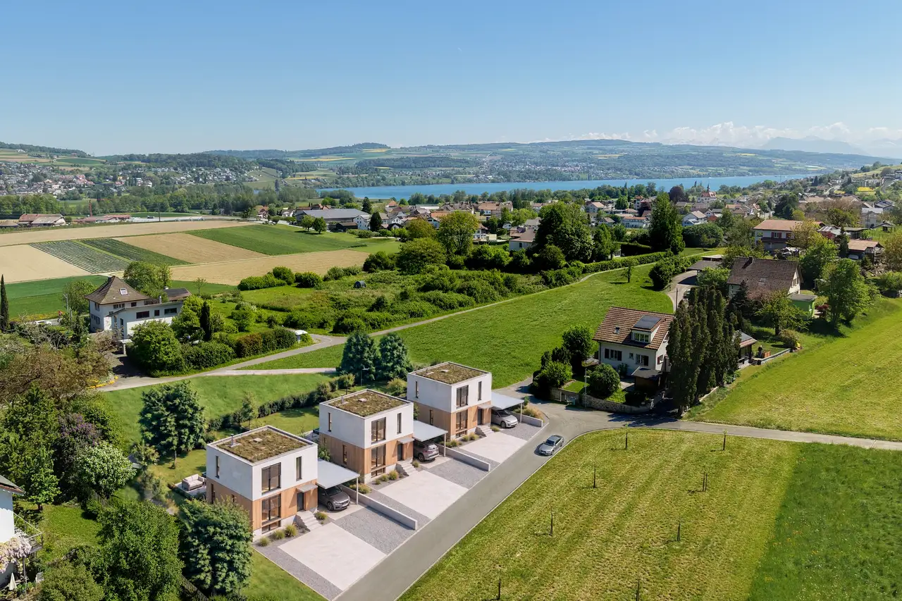 Luftbild der drei Wohnhäuser am Siedlungsrand zwischen Wiesen, dahinter Wädenswil und der Zürichsee